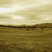 Newport center vault cemetery adajacent landscape  - Vermont USA. 28 mars 2010 - Sepia