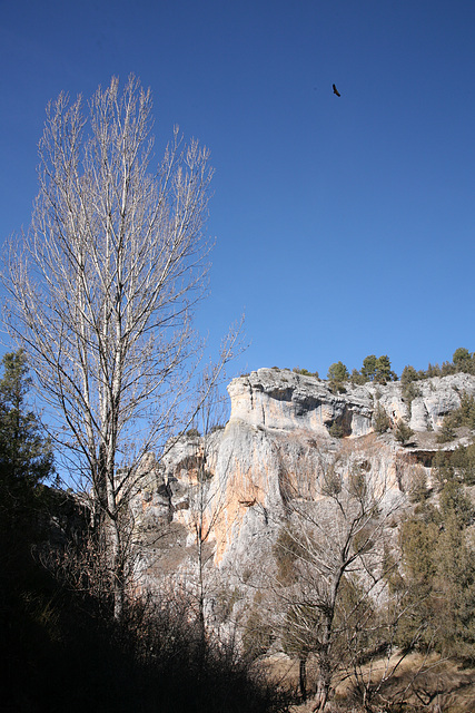 Canon del Rio Lobos