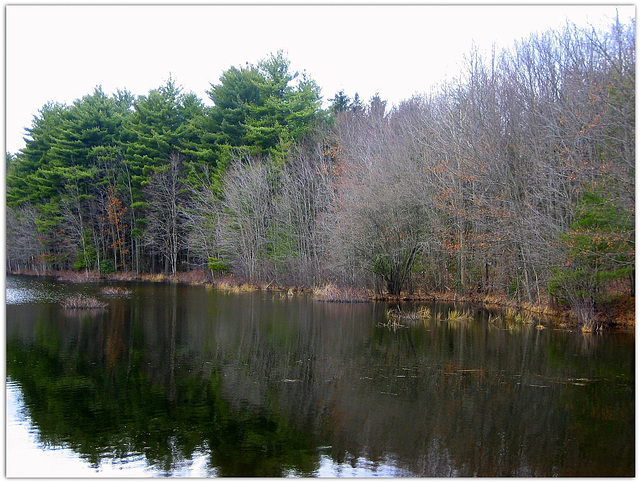 Lake Wintergreen