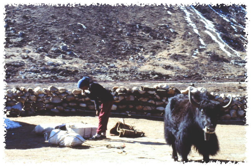 Vallée du Khumbu (Népal)