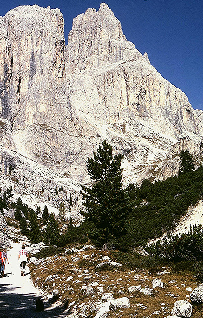 Alpen-5-108-81aw Rosengarten