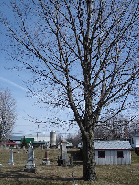 St.Mungos united cushing 1836 - Chatham ( Cushing).  Québec, CANADA.   19-03-2010