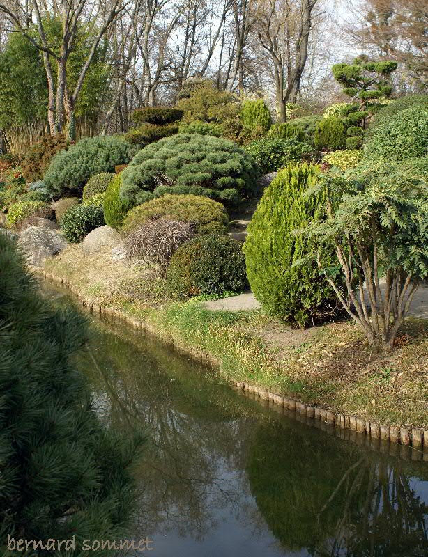 Le jardin japonais 2