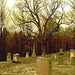 Newport center vault cemetery - Vermont USA .  28 mars 2010- Sepia postérisé