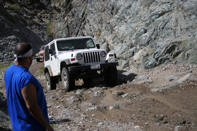 Goler Wash - Cliff (4841)