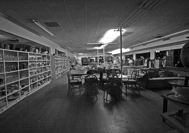 Thrift Store on Pierson (6746)