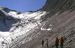 Alpen-5-122-81aw Rosengarten