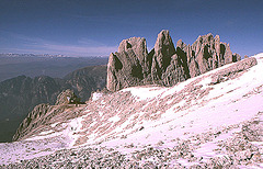 Alpen-5-126-81aw Rosengarten