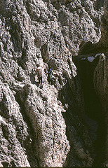 Alpen-5-129-81aw Rosengarten