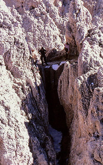 Alpen-5-130-81aw Rosengarten