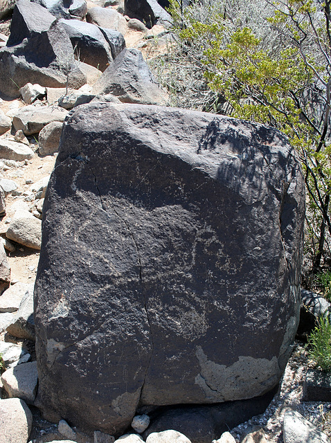 Three Rivers Petroglyphs (5827)