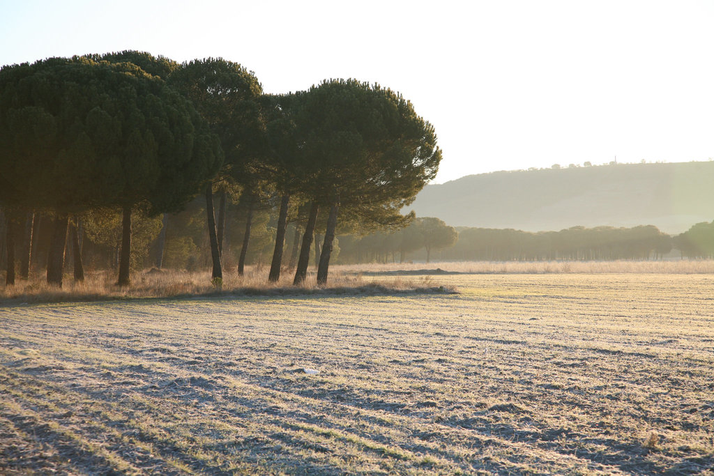 Frosty morning near Valladolid