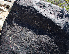 Three Rivers Petroglyphs (5829)