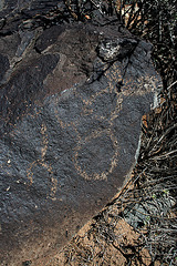 Three Rivers Petroglyphs (5830)