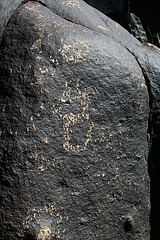 Three Rivers Petroglyphs (5832)