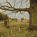 Newport center vault cemetery - Vermont USA .  28 mars 2010- Sepia au ciel gris