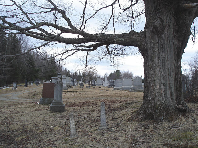 Newport center vault cemetery - Vermont USA .  28 mars 2010