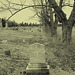 Newport center vault cemetery - Vermont USA .  28 mars 2010-  Photo ancienne