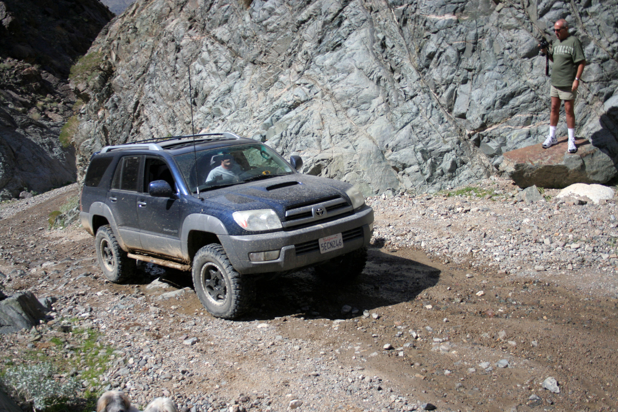 Goler Wash - Pete's Toyota (4788)