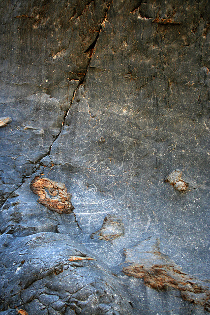 Petroglyphs in Marble Canyon (4633)