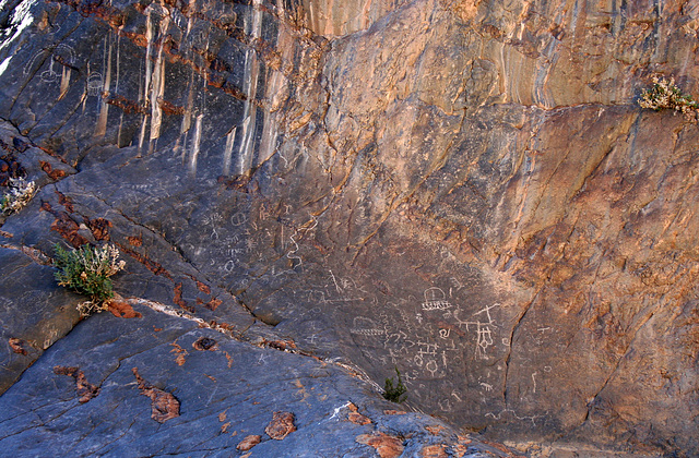 Petroglyphs in Marble Canyon (4669)