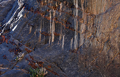 Petroglyphs in Marble Canyon (4671)