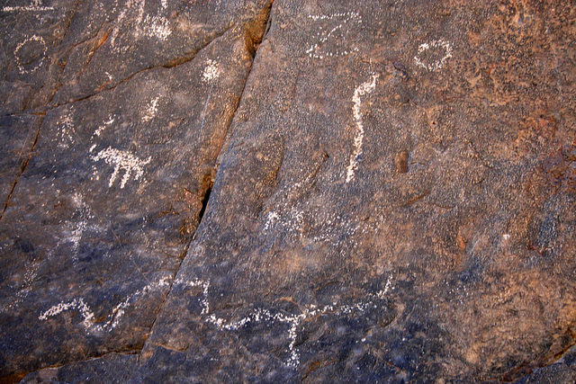 Petroglyphs in Marble Canyon (4679)