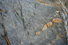 Petroglyphs in Marble Canyon (4690)