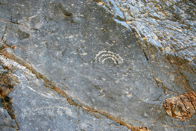 Petroglyphs in Marble Canyon (4691)