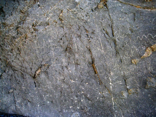 Petroglyphs in Marble Canyon (5489)