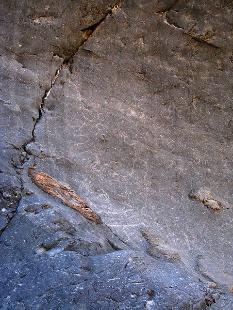 Petroglyphs in Marble Canyon (5513)