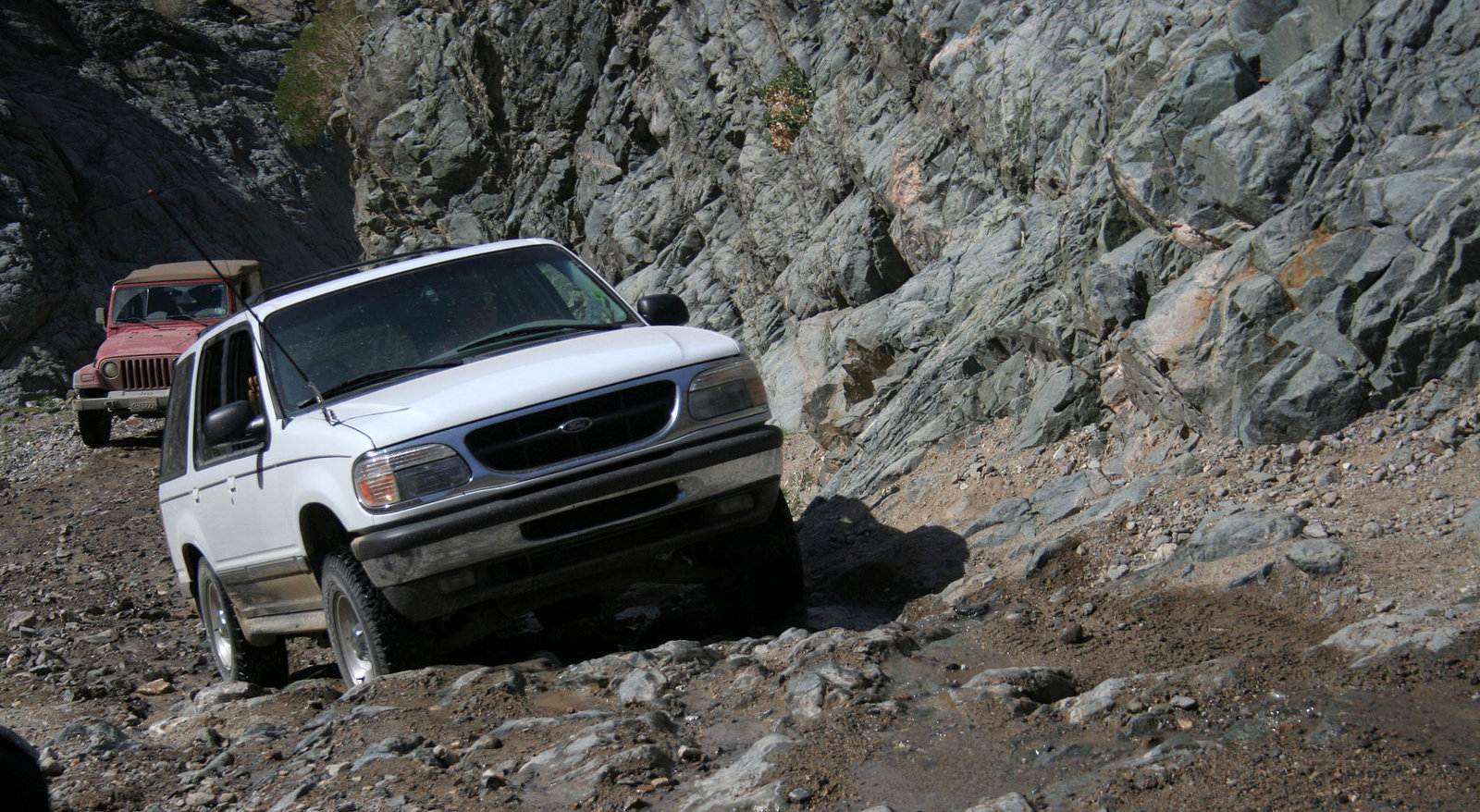Goler Wash - Darrell (4813)