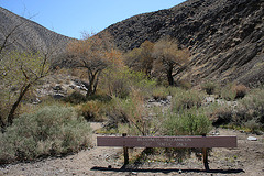 Cottonwood Canyon (4562)