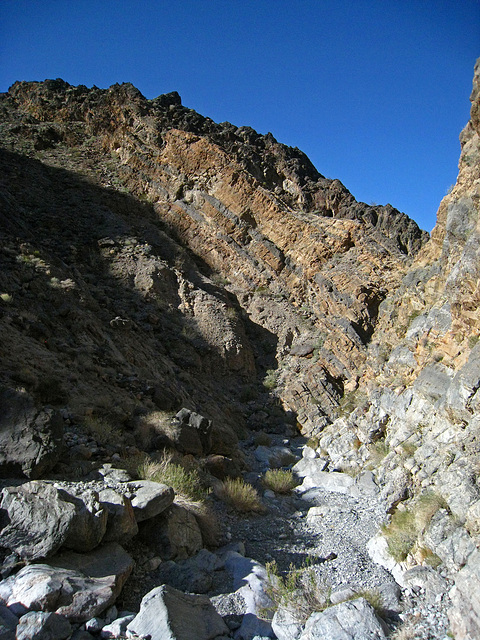 Cottonwood Canyon (5484)