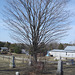 St.Mungos united cushing 1836 - Chatham ( Cushing).  Québec, CANADA.   19-03-2010