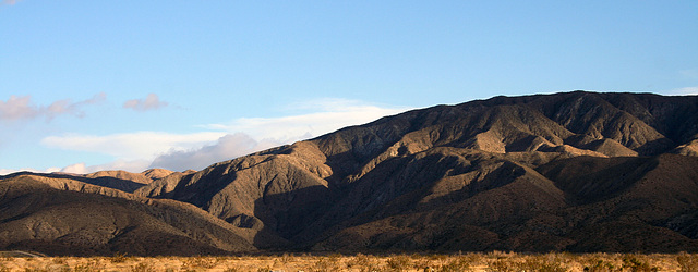 Big Morongo Canyon (3753)