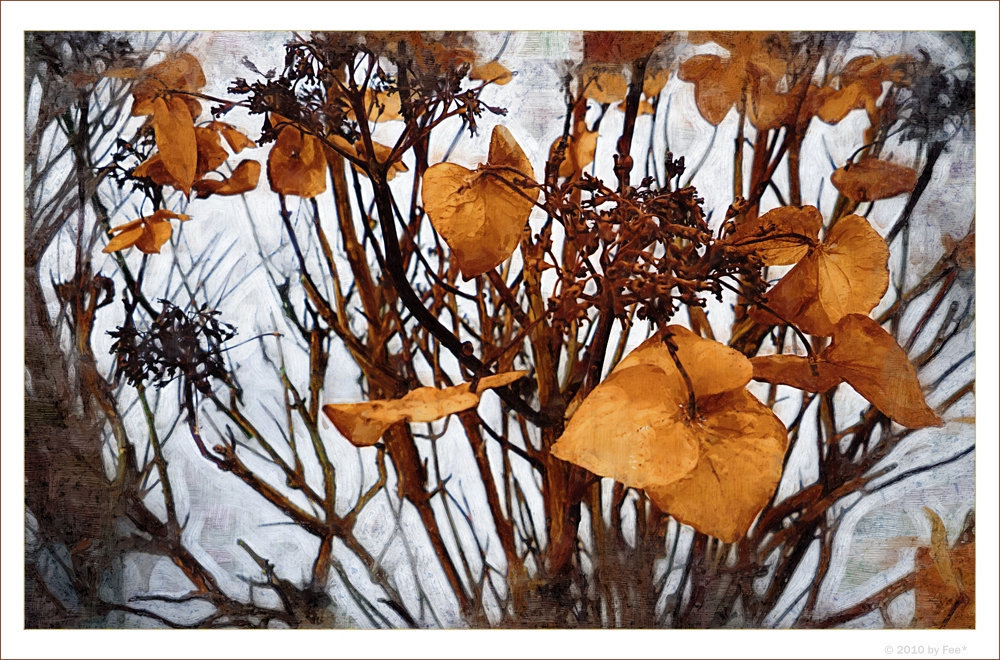 Herbstfarben im Winter