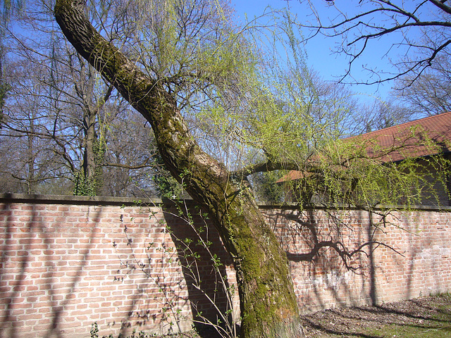 München - Alter Südfriedhof