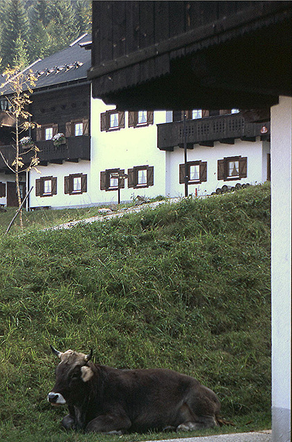 1989_002DIAw [A] Haus in Sonnleitn