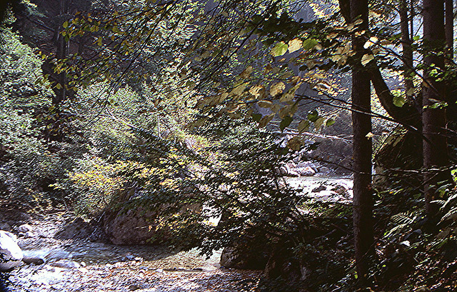 1989_007DIAw [A] Garnitzer Klamm