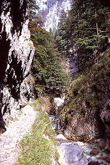 1989_011DIAw [A] Garnitzer Klamm