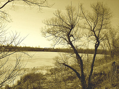 Glace fondante et attente de train /  Melting ice and train expectation - Dans ma ville / Hometown.  16 mars 2010- Sepia