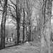 Cimetière St-André Apôtre en  N & B