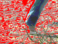 La Dame Hemlex en escarpins blancs / Hemtex Lady in white high heels shoes -  Ängelholm  /  Suède - Sweden.  23 octobre 2008- Avec taches rouges postérisées
