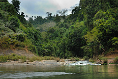 Little mountain stream end in Nam Ou