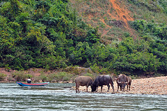 Nam Ou river scenes