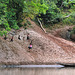 Life scene with playing children at the riverbank