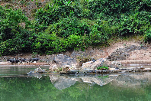 Beautiful landscape at the Nam Ou riverside