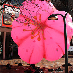 01.NCBF.KickOff.PressConference.Newseum.WDC.4March2010