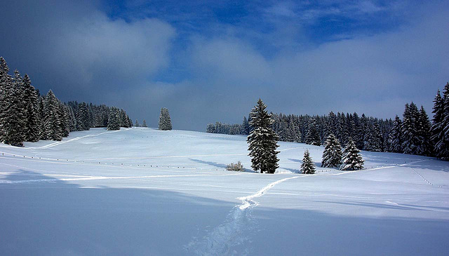 Oberallgäu